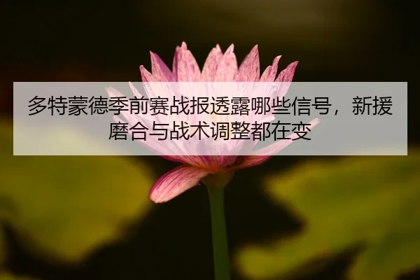 多特蒙德季前赛战报透露哪些信号，新援磨合与战术调整都在变